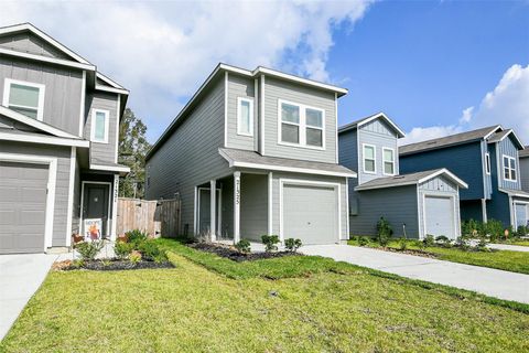 Photo of 21325 Carosella Drive, New Caney, TX 77357 (MLS # 94800565)