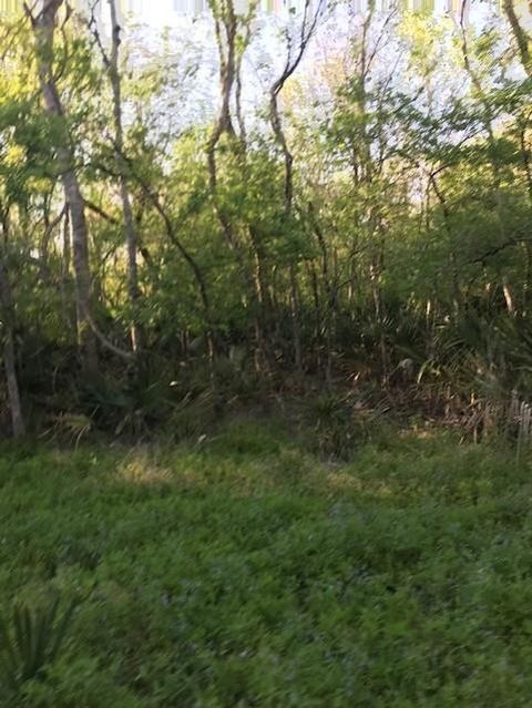 Vacant Land For Sale - E Live Oak Road<br/> Van Vleck, TX 77482