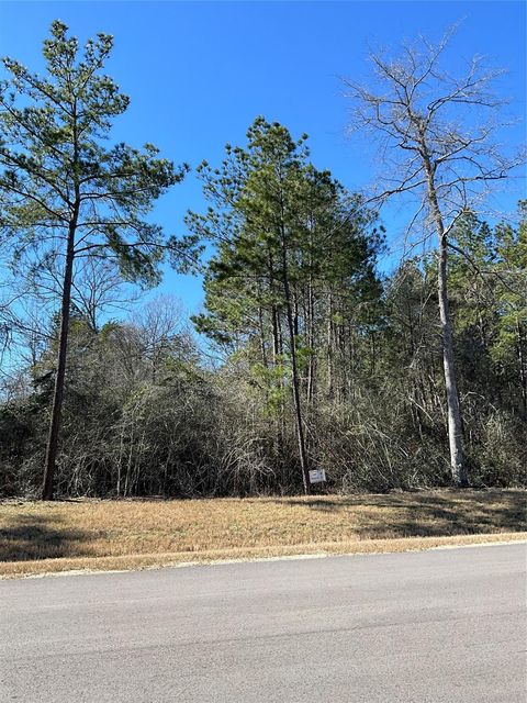 Photo of 341 Exploration Road, Willis, TX 77378 (MLS # 42717322)