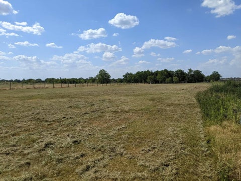 Vacant Land For Sale - Fuqua Street<br/> Houston, TX 77048