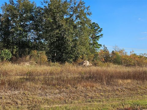 Vacant Land For Sale - 8026 Road 5891<br/> Liberty County, Cleveland, TX 77327