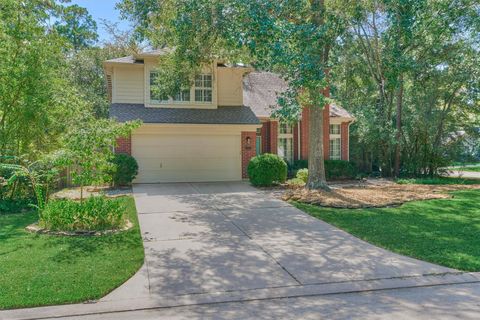Photo of 31 Grey Birch Place, The Woodlands, TX 77381 (MLS # 19377882)
