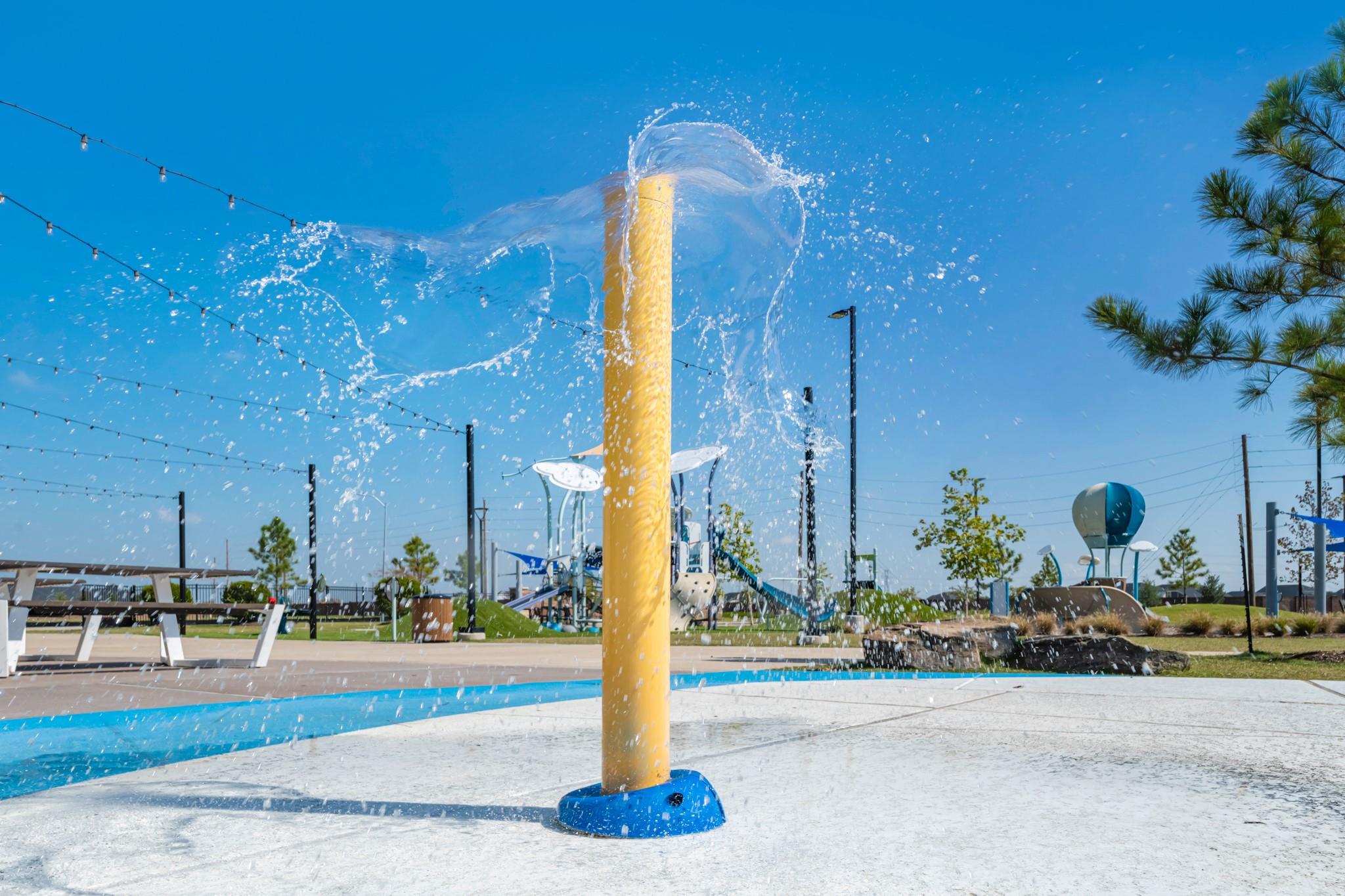 2061 Sunflower View Street