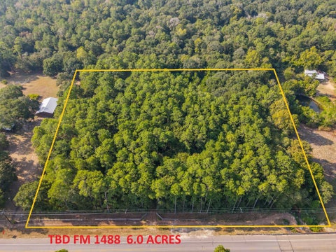 Vacant Land For Sale - TBD Fm 1488<br/> Magnolia, TX 77355