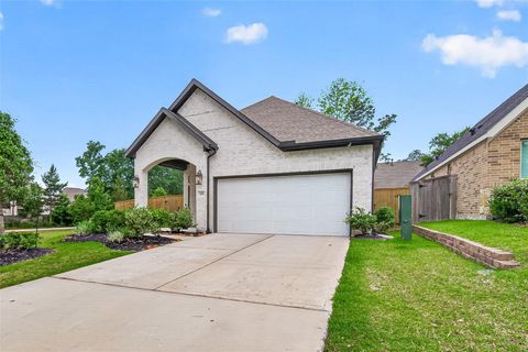 Photo of 305 Rise Lane, Montgomery, TX 77316 (MLS # 18482983)