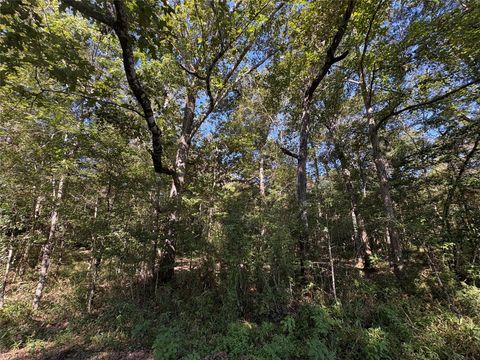 Photo of 0 Fm 787, Thicket, TX 77374 (MLS # 58554176)