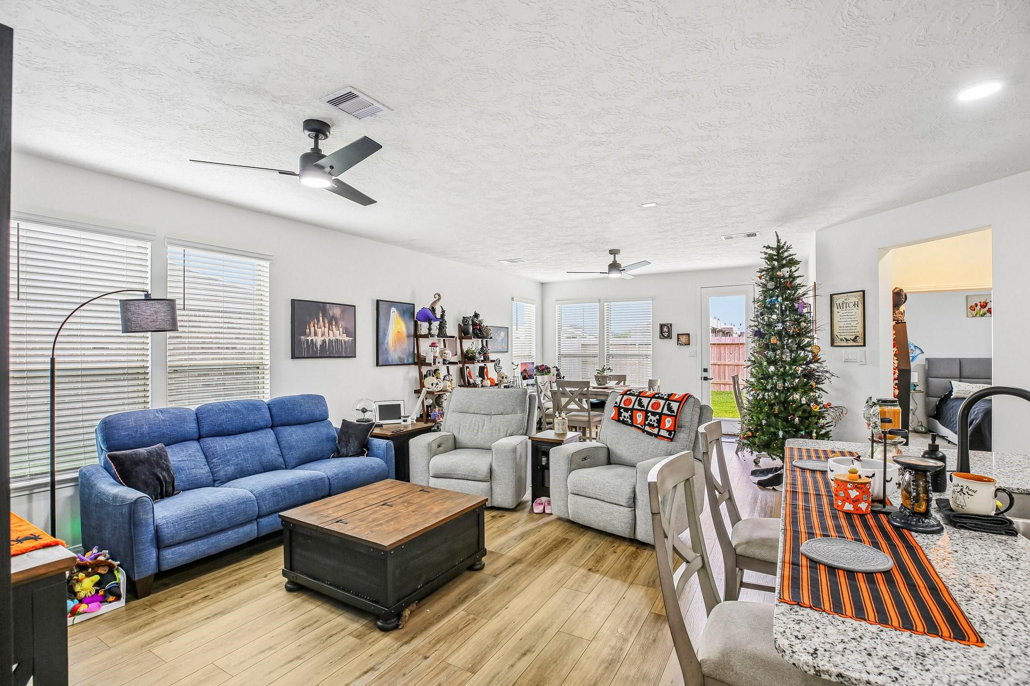 1717 Vista Luna Drive