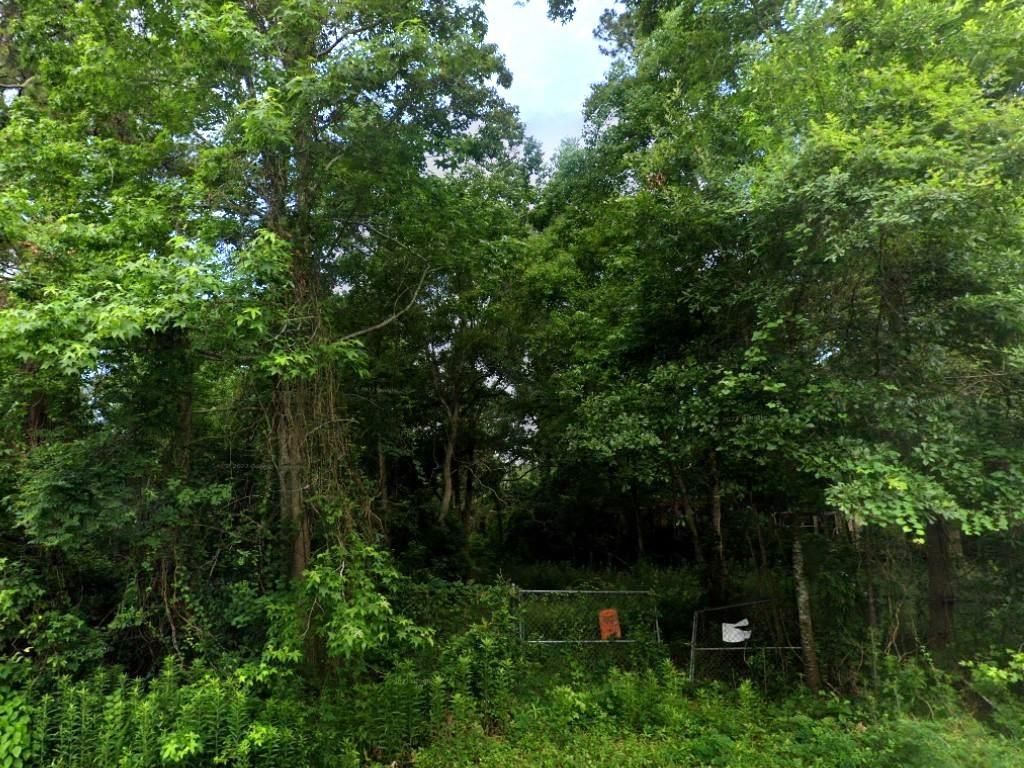 Photo of 21208 Lyndall Lane, Porter, TX 77365 (MLS # 14084056)