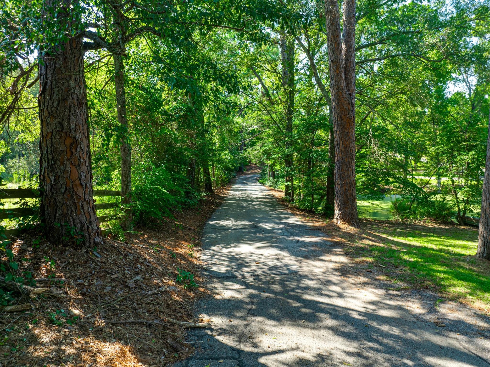 2900 S Robertson Avenue