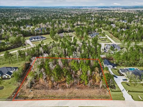 7511 Bingham Drive Montgomery TX 77316