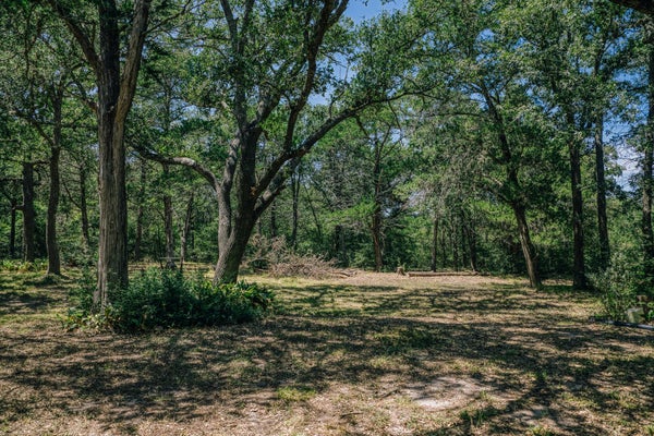 5003 ROCKY CREEK MNR, BURTON, TX 77835 - Image 3aee269aceaaec4468cdfc5f8e20d726/3848286355