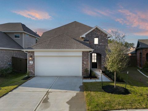 Photo of 311 Violet Crown Lane, New Caney, TX 77357 (MLS # 20629253)