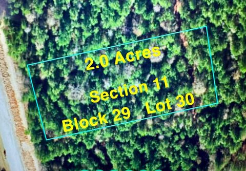 Photo of 11 Grey Feather Rd, Huntsville, TX 77340 (MLS # 26808979)