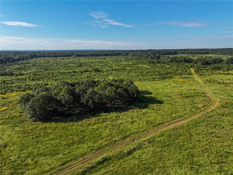 Photo of 2792 Forest Hopson Road, Zavalla, TX 75980 (MLS # 765868)