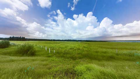 Photo of Conestoga Conestoga Trail, Angleton, TX 77515 (MLS # 10721964)