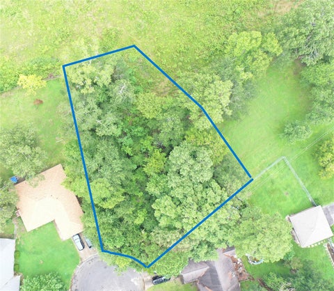 Vacant Land For Sale - TBD Brinwood Place<br/> Livingston, TX 77351