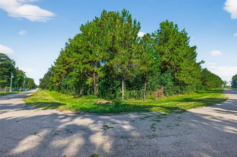 Photo of 1366 County Road 3434, Cleveland, TX 77327 (MLS # 40296163)