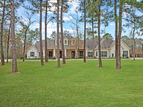 10539 Crestwater Circle Magnolia TX 77354
