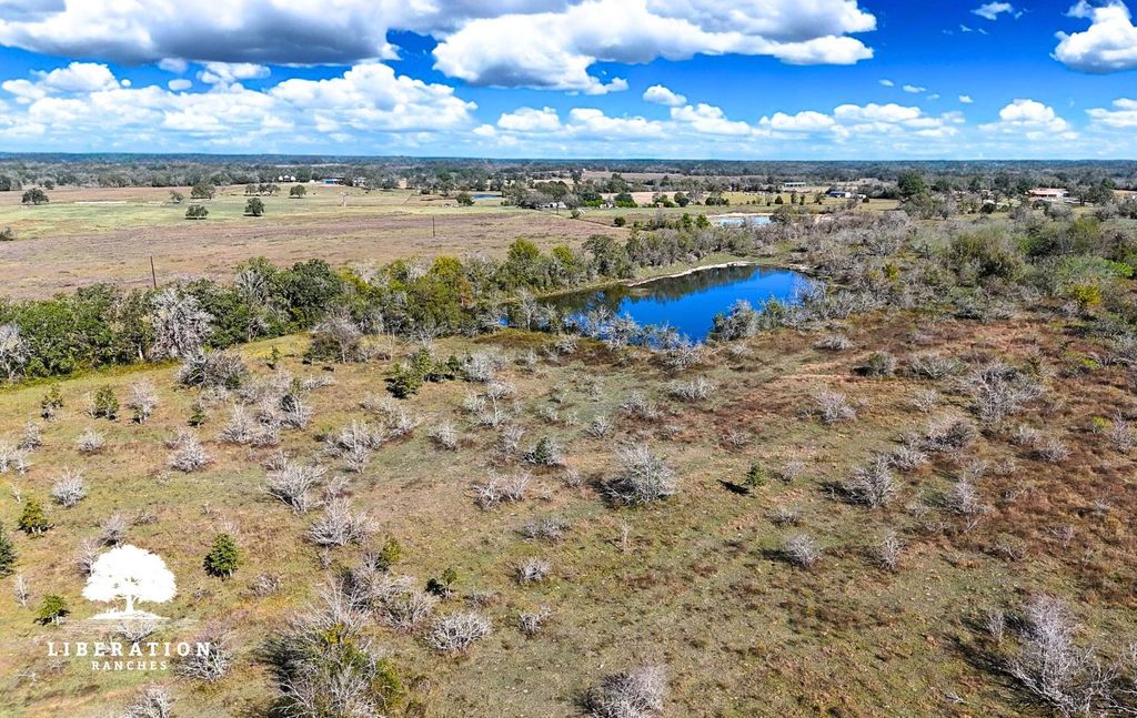 Photo of 13316 Farm To Market Rd 2620 Tract 6, Bedias, TX 77831 (MLS # 82165039)