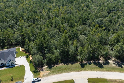 Photo of 23721 Birch Grove Road, Montgomery, TX 77316 (MLS # 57307363)