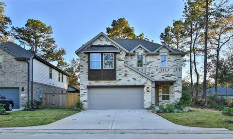 239 Brecon Buff Drive Willis TX 77318