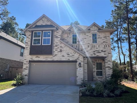 239 Brecon Buff Drive Willis TX 77318