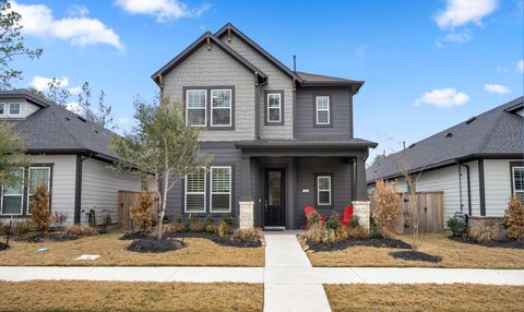 Photo of 222 Thistle Drive, Montgomery, TX 77316 (MLS # 38770173)