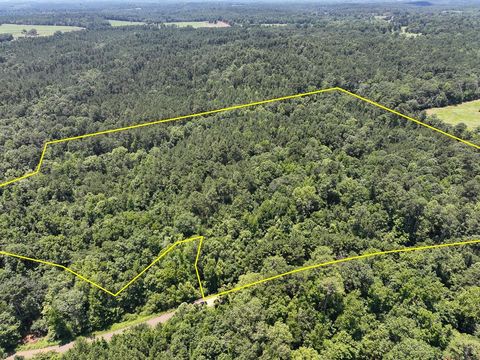 Vacant Land For Sale - 2 Lick Skillet Road<br/> Sabine County, Milam, TX 75959