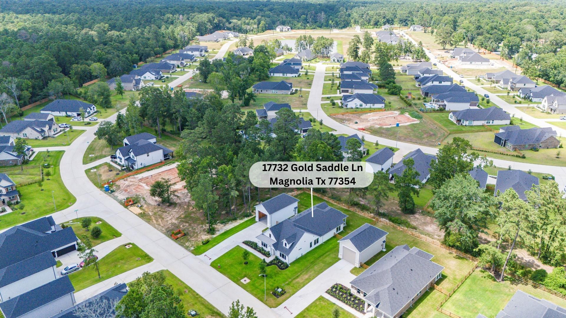 17732 Gold Saddle Lane