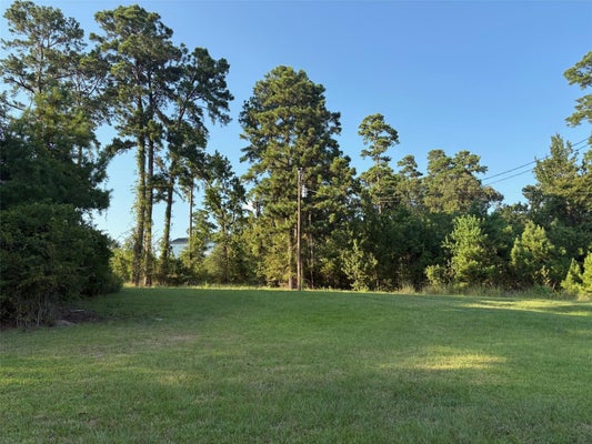 145 PINE GRV, LIVINGSTON, TX 77351 - Image 3b8d879e68e5c5e11bc4ff86778d0f3c/408714170