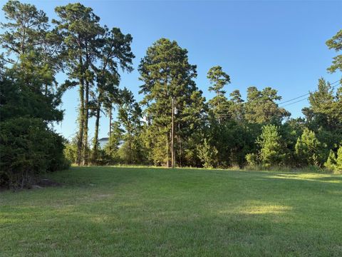 Photo of 145 Pine Grove Drive, Livingston, TX 77351 (MLS # 78716555)
