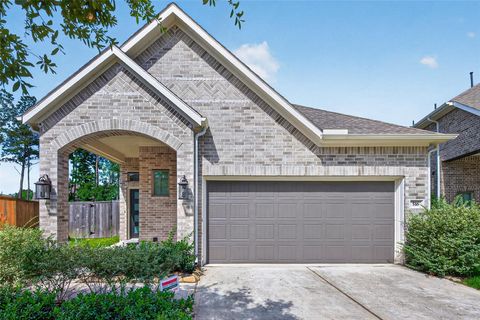 Photo of 516 Shine Court, Montgomery, TX 77316 (MLS # 4170403)