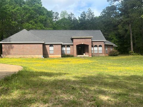 Photo of 697 County Road 4330, Woodville, TX 75979 (MLS # 9758151)