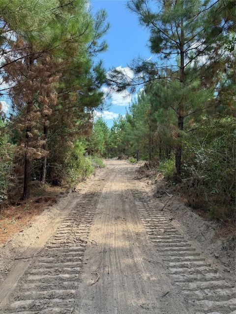 Photo of 2 Bracewell Cemetery Road, Livingston, TX 77351 (MLS # 53794088)