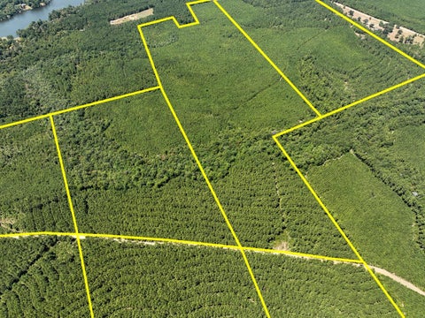Vacant Land For Sale - 1 Fm 256<br/> Tyler County, Colmesneil, TX 75938