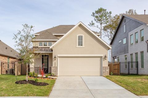 Photo of 4224 Waterlily Spring Way, Porter, TX 77365 (MLS # 66428867)