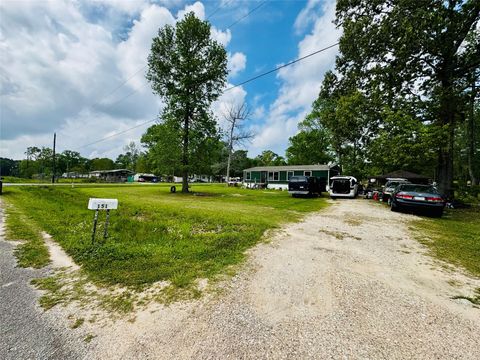 Photo of 151 County Road 2801, Cleveland, TX 77327 (MLS # 89220271)