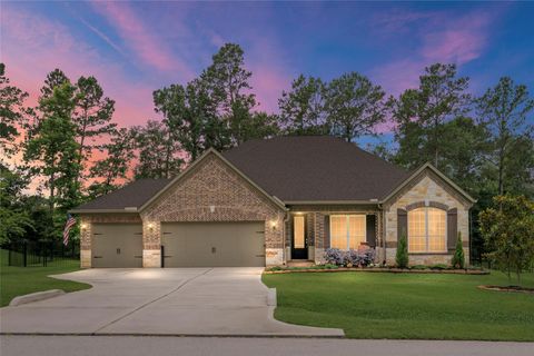 Photo of 109 Magnolia Reserve Loop, Magnolia, TX 77354 (MLS # 6469843)