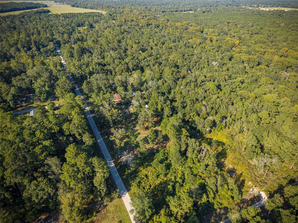 Photo of 245 County Road 3707, Splendora, TX 77372 (MLS # 5634609)