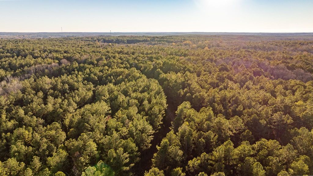 Photo of 8548 Elberton Highway, Other, GA 30668 (MLS # 1065678)