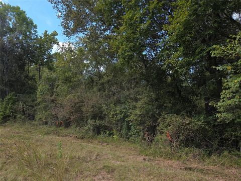Vacant Land For Sale - TBD Hidden Cove Drive<br/> Point Blank, TX 77364