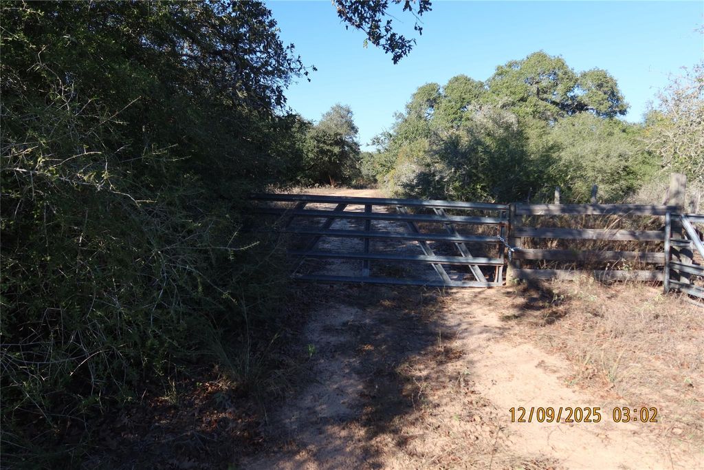 Photo of 119 Road 1023, Sheridan, TX 77475 (MLS # 50635881)