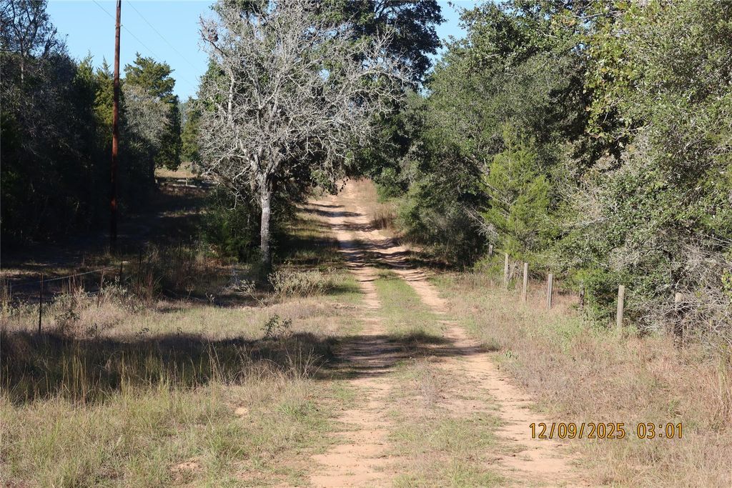 Photo of 119 Road 1023, Sheridan, TX 77475 (MLS # 50635881)