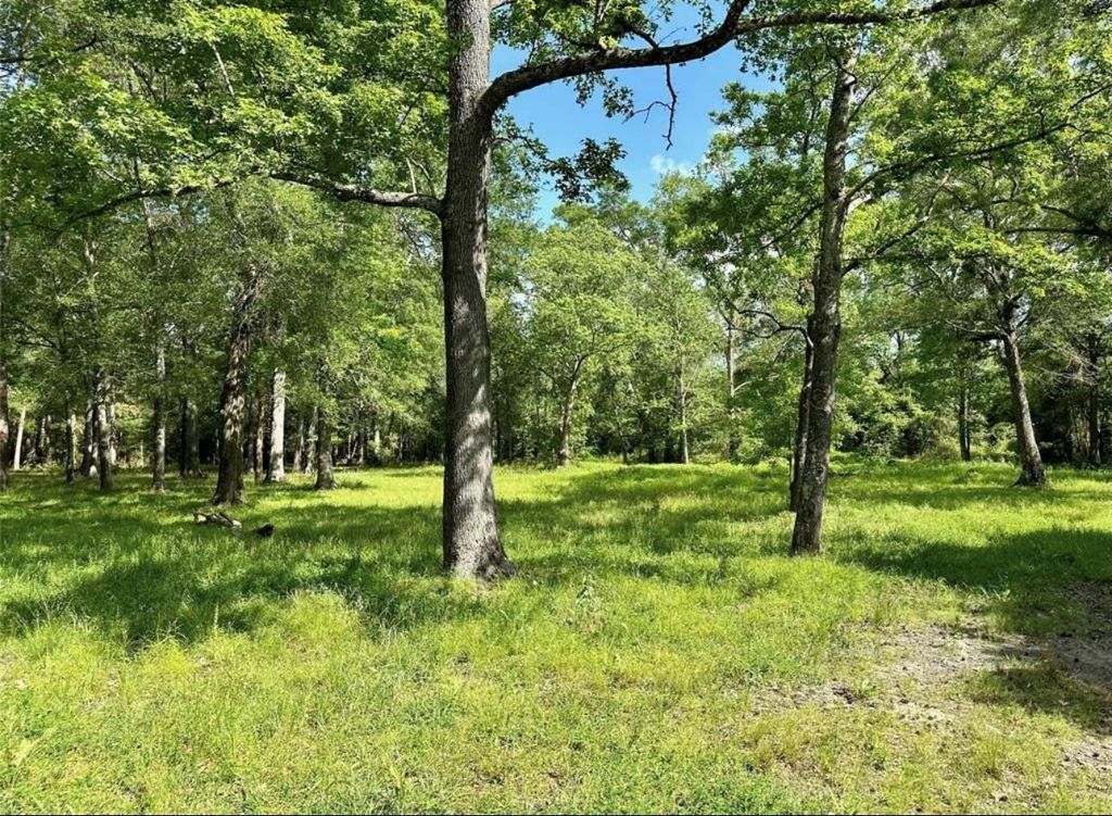 Photo of 30106 Huffman Cleveland Road, Huffman, TX 77336 (MLS # 33704899)