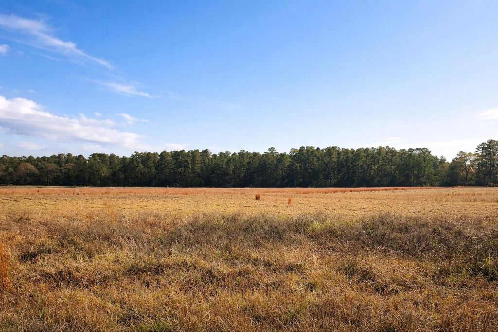 Photo of TBD Clearlake Lane, Crockett, TX 75835 (MLS # 64827665)