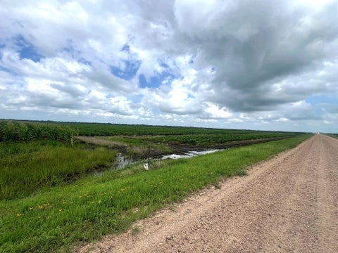 Photo of 0 Cr 254, East Bernard, TX 77435 (MLS # 21242968)
