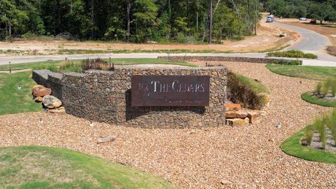 Photo of 9502 Old Cedars Drive Dr, Plantersville, TX 77363 (MLS # 46776398)