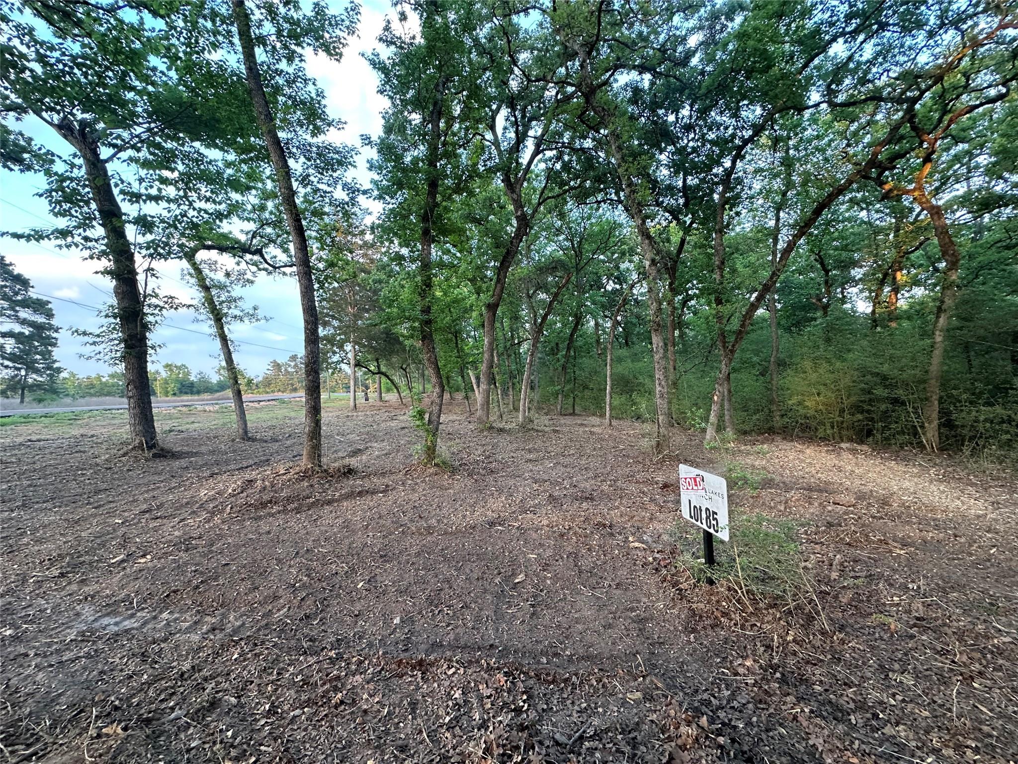 Lot 85 Pr 1317