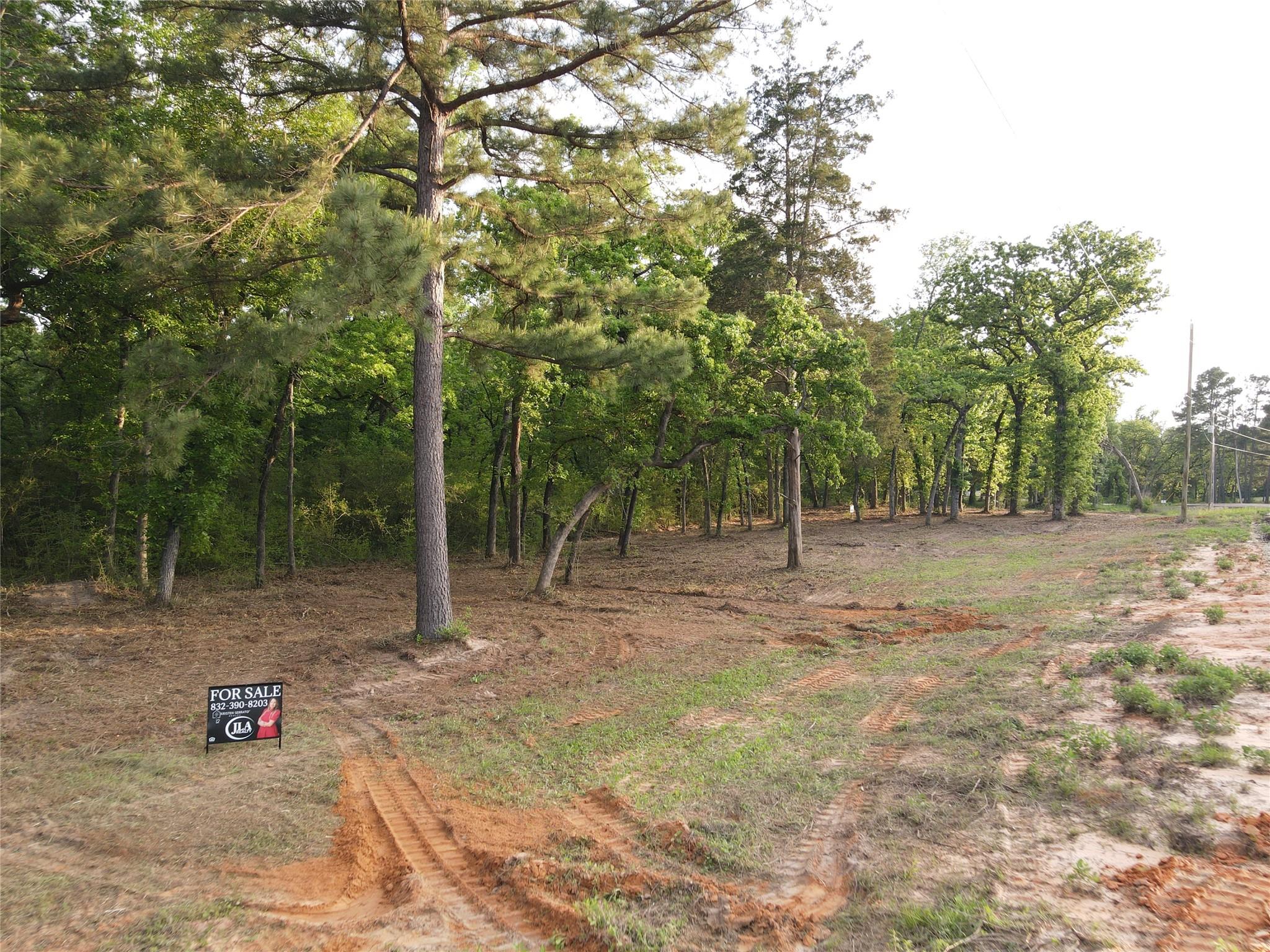 Lot 85 Pr 1317