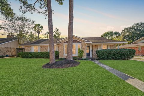 Photo of 5919 Lattimer Drive, Houston, TX 77035 (MLS # 35594318)